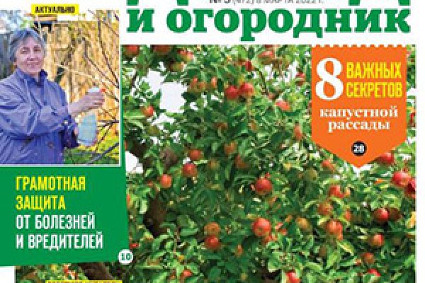 Ссылки на даркнет сайты