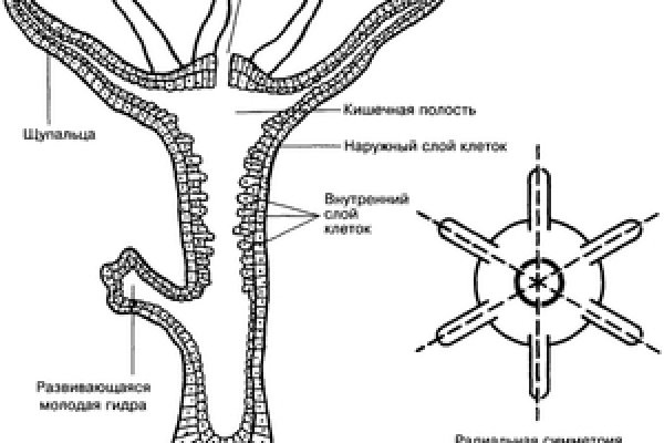 Кракен торговая площадка даркнет